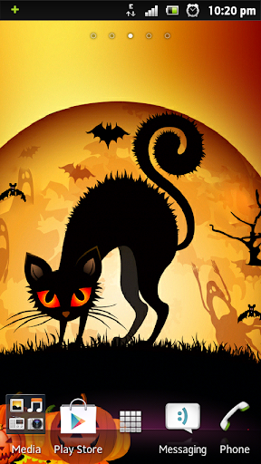 免費下載個人化APP|Halloween Cat Yin LWP app開箱文|APP開箱王