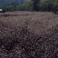 水源地餐廳