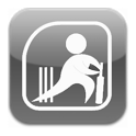 Live Cricket T20 MUM vs PUNE icon