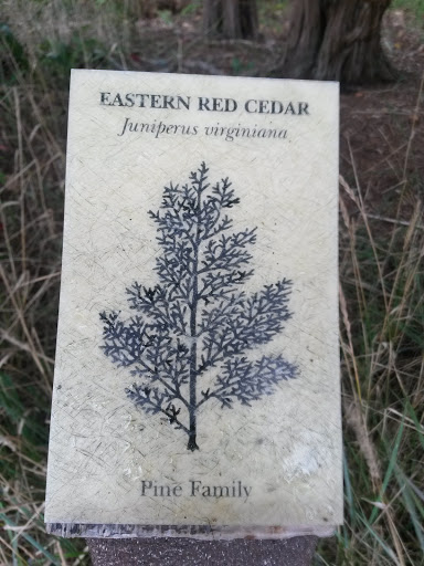 Eastern Red Cedar Preservation 