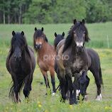 what's up? by Kristin Smestad -  
