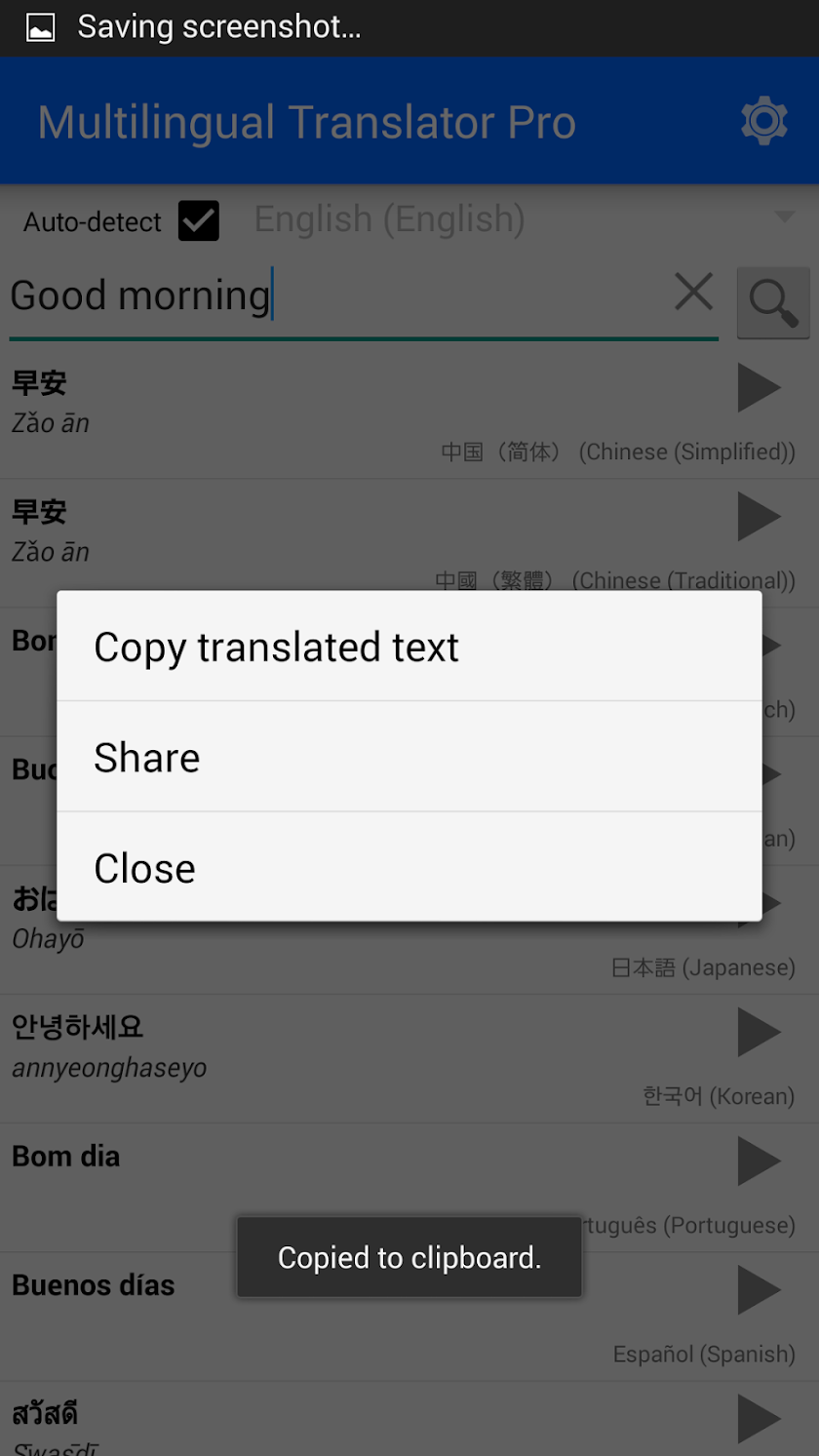 Multilingual Translator Pro Screen 3