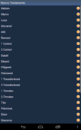 Italian Holy Bible poster 9