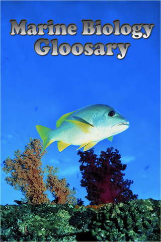 Marine Biology Glossary