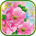Spring Flower Live Wallpaper mobile app icon