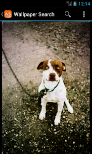 download Wallpaper Search free