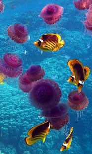 Download Aquarium Live Wallpapers APK for PC