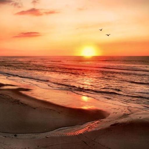 300 Amazing Beach Pictures HD 娛樂 LOGO-阿達玩APP