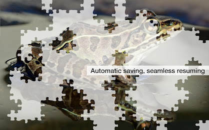Frog Jigsaw Puzzles Demo poster 8