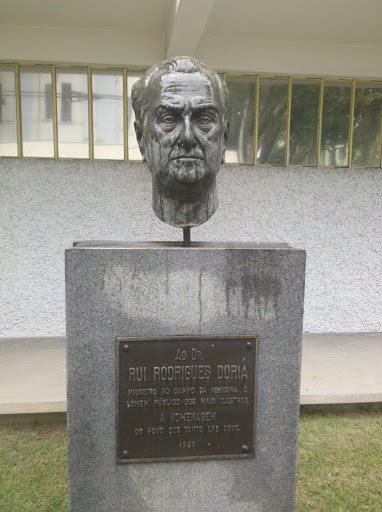 Estatua Dr. Rui Rodrigues Doria