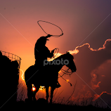 Riding High by Gary Hanson -  