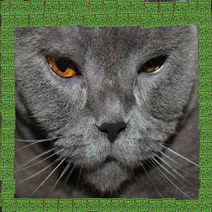 What is hidden? Hacks and cheats