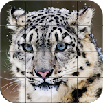 Cover Image of Download Puzzle - Wild animals 1.04 APK