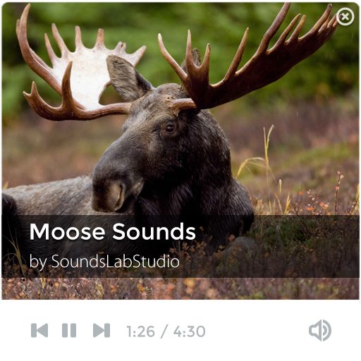 Moose Sounds