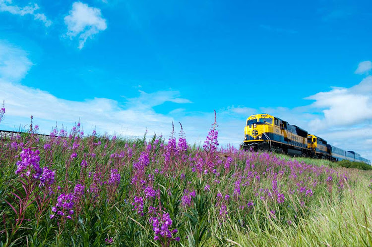 The Alaska Railroad runs from Anchorage up to Seward.