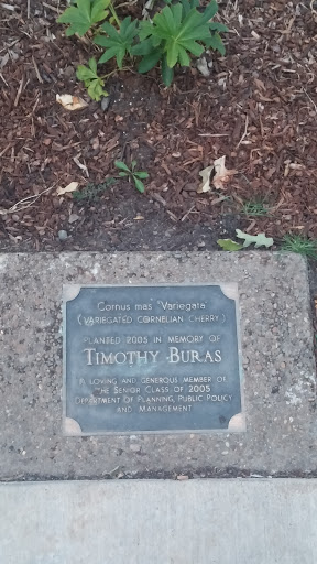Timothy Buras Memorial Plaque
