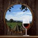 나파 밸리 와인(Wine) 가이드