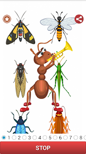 Free Download Insect Sound APK for Android