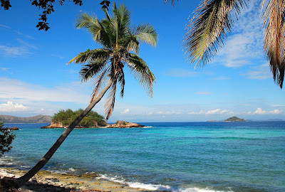 Palm's Reach on Castaway Island, Fiji.