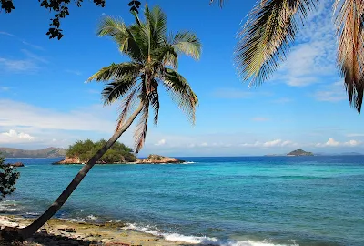 Palm's Reach on Castaway Island, Fiji.