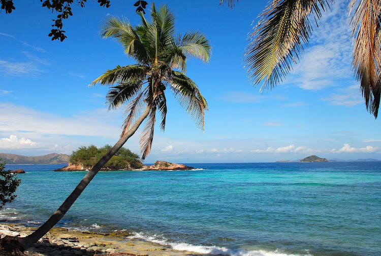 Palm's Reach on Castaway Island, Fiji.