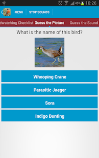 North American Birds Sounds Screenshots 19