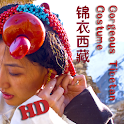 锦衣西藏
