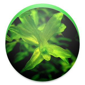Plantas Acuáticas logo