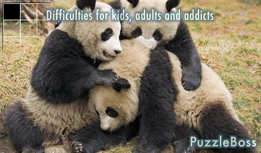 Pandas Sliding Picture Puzzle