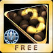 Pool Pro Online 3 Free