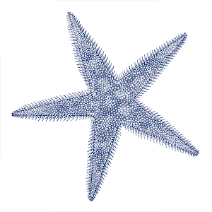 Starfish Vacation Rentals 1.5.0
