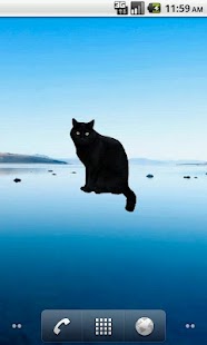 How to download Black Cat Sticker lastet apk for android