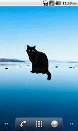 Black Cat Sticker poster 3