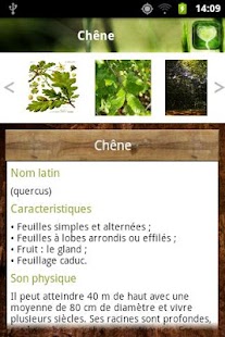 Bois Forêt Screenshots 12