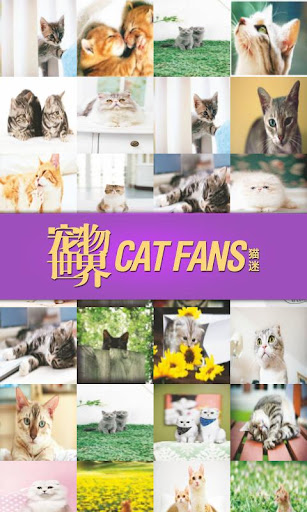 宠物世界·猫迷