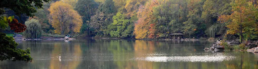 Fall colors in Central Park in the heart of New York City.