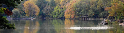 Fall colors in Central Park in the heart of New York City.