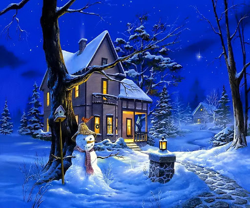 Fairy Christmas Night