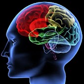 Neurosurgery