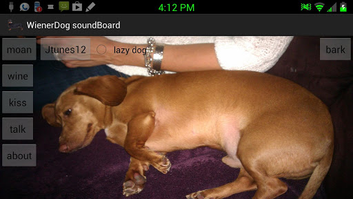 WienerDogSoundboard