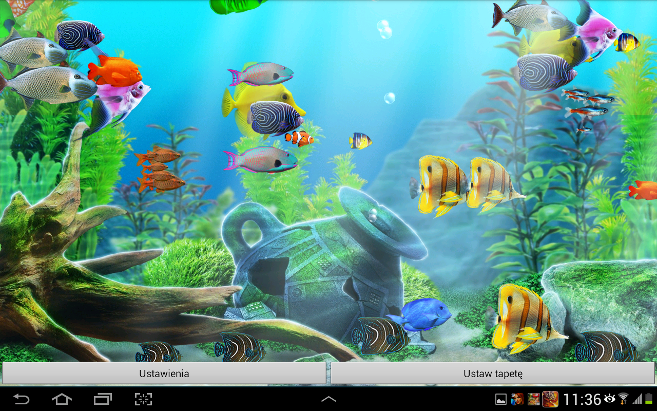 Aquarium Live Wallpaper HD – Apps para Android no Google Play