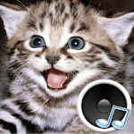 Cover Image of 下载 Animal sounds. 1.9.2 APK
