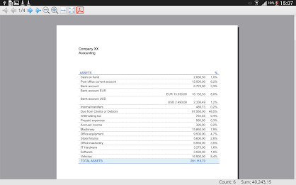 Banana Accounting 7 poster 3