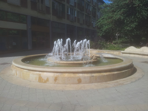 Millenium Fountain