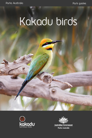 Kakadu Birds