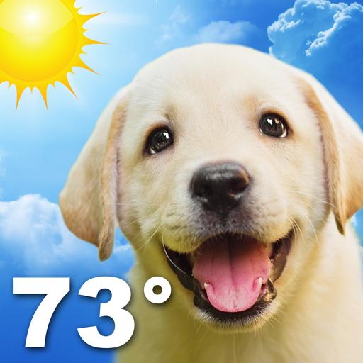 Weather Puppy 天氣 App LOGO-APP開箱王