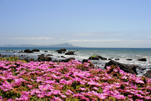 Punta Morro in Ensenada, Mexico.