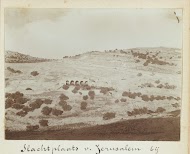 Gezicht op een slachtplaats bij Bethanië, het tegenwoordige Al-Eizariya