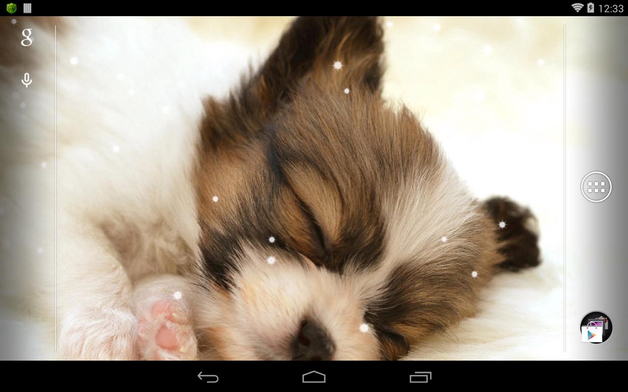 Q Dog Live Wallpaper Apl Android Di Google Play