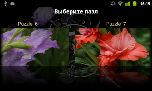 【免費解謎App】Flowers puzzle-APP點子